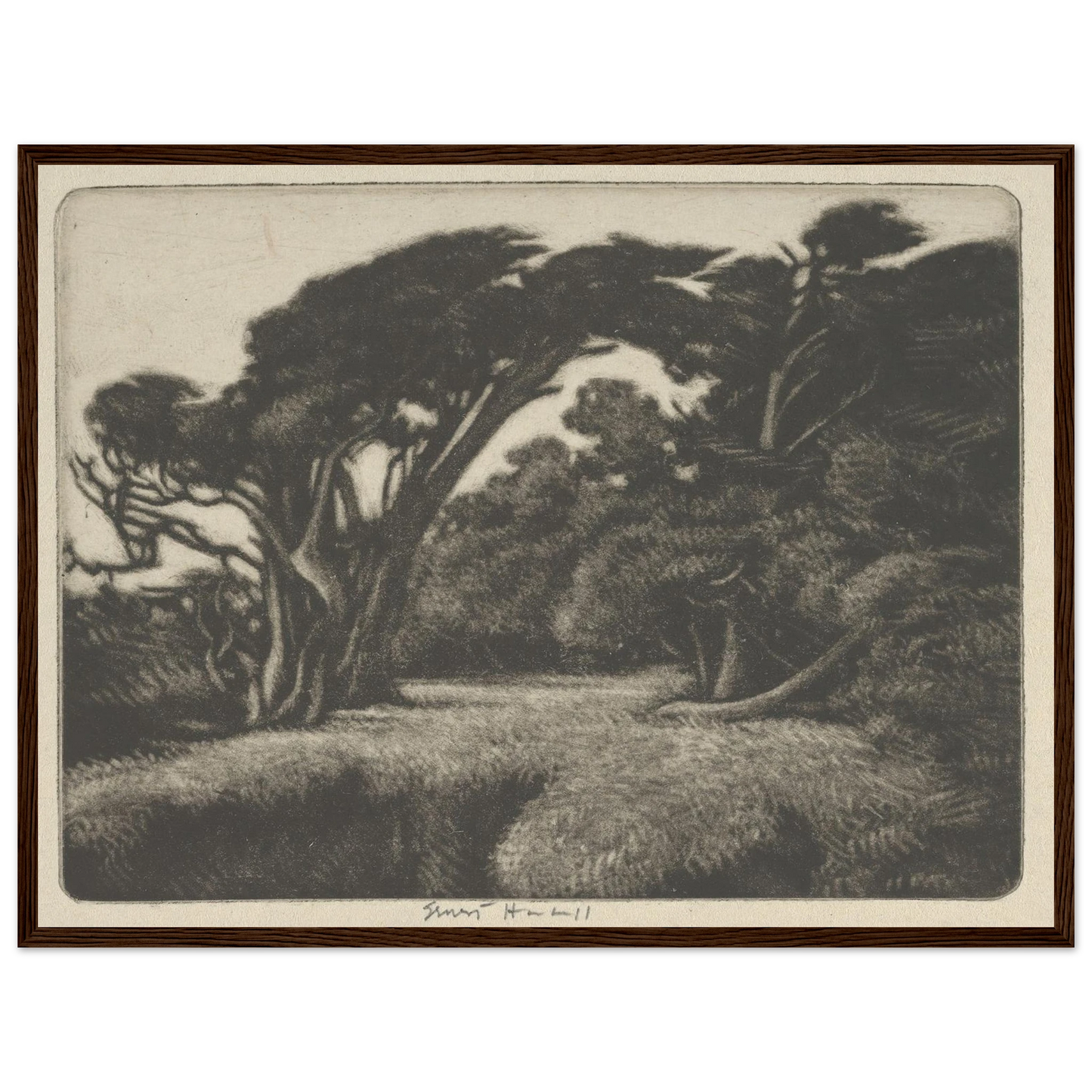 Cypress Bower (1920) Art Print | Ernest Haskell - Framed Poster - 30x40 cm / 12x16″ - Black frame