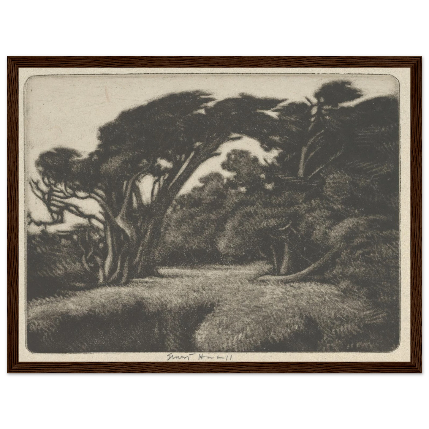 Cypress Bower (1920) Art Print | Ernest Haskell - Framed Poster - 30x40 cm / 12x16″ - Black frame