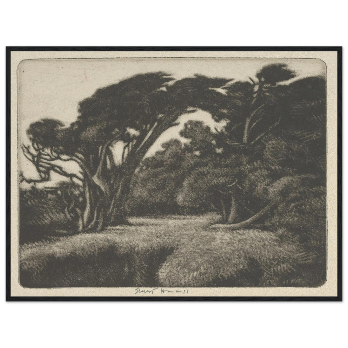 Cypress Bower (1920) Art Print | Ernest Haskell - Framed Poster - 30x40 cm / 12x16″ - Black frame