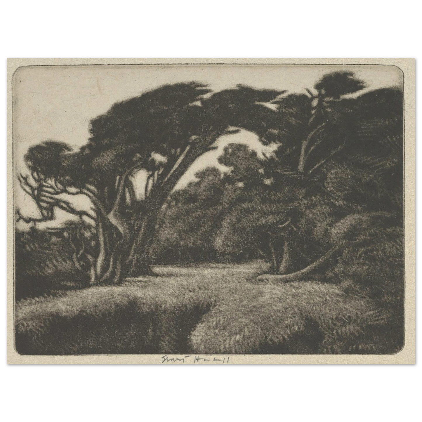 Cypress Bower (1920) Art Print | Ernest Haskell - Framed Poster - 30x40 cm / 12x16″ - Black frame