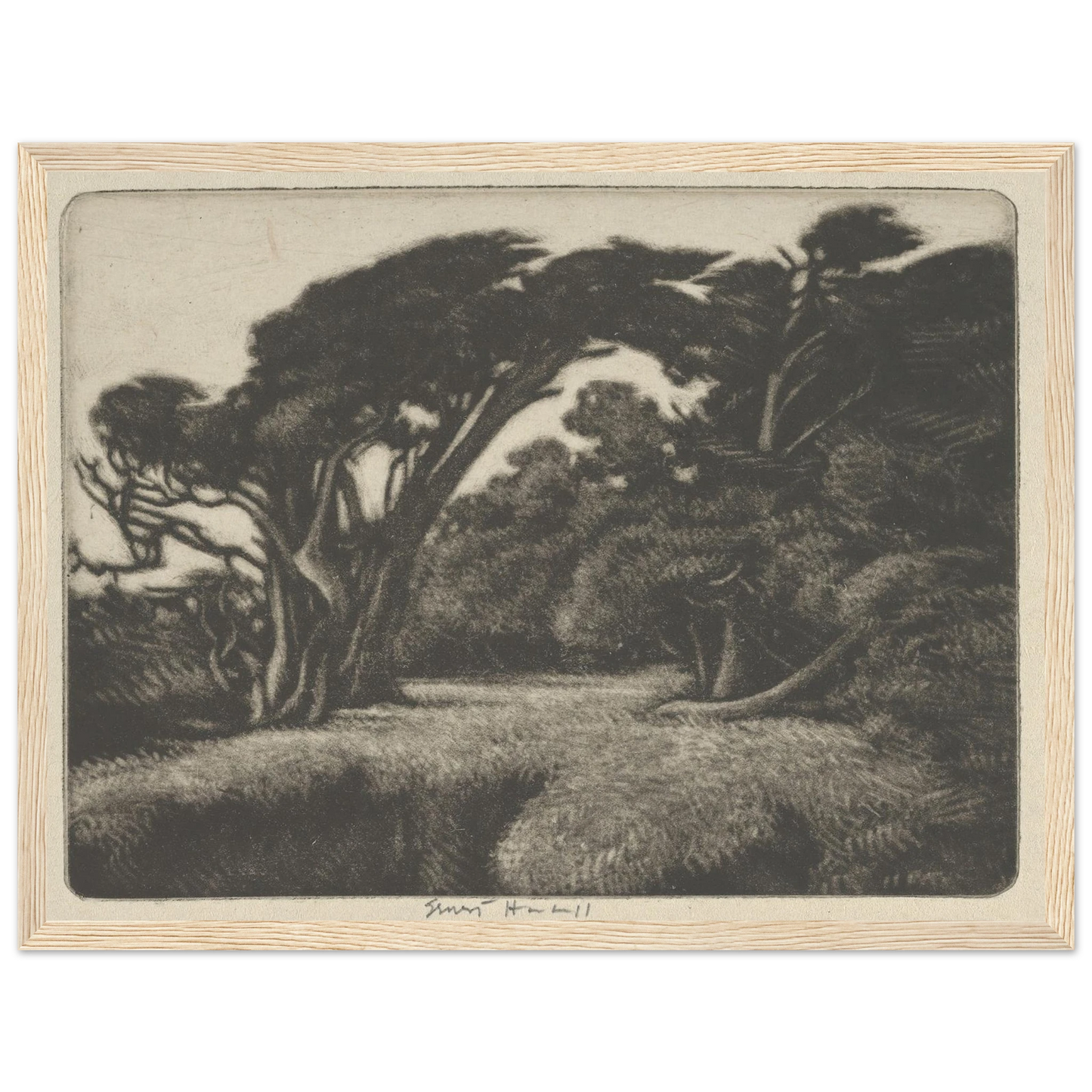 Cypress Bower (1920) Art Print | Ernest Haskell - Framed Poster - 30x40 cm / 12x16″ - Black frame