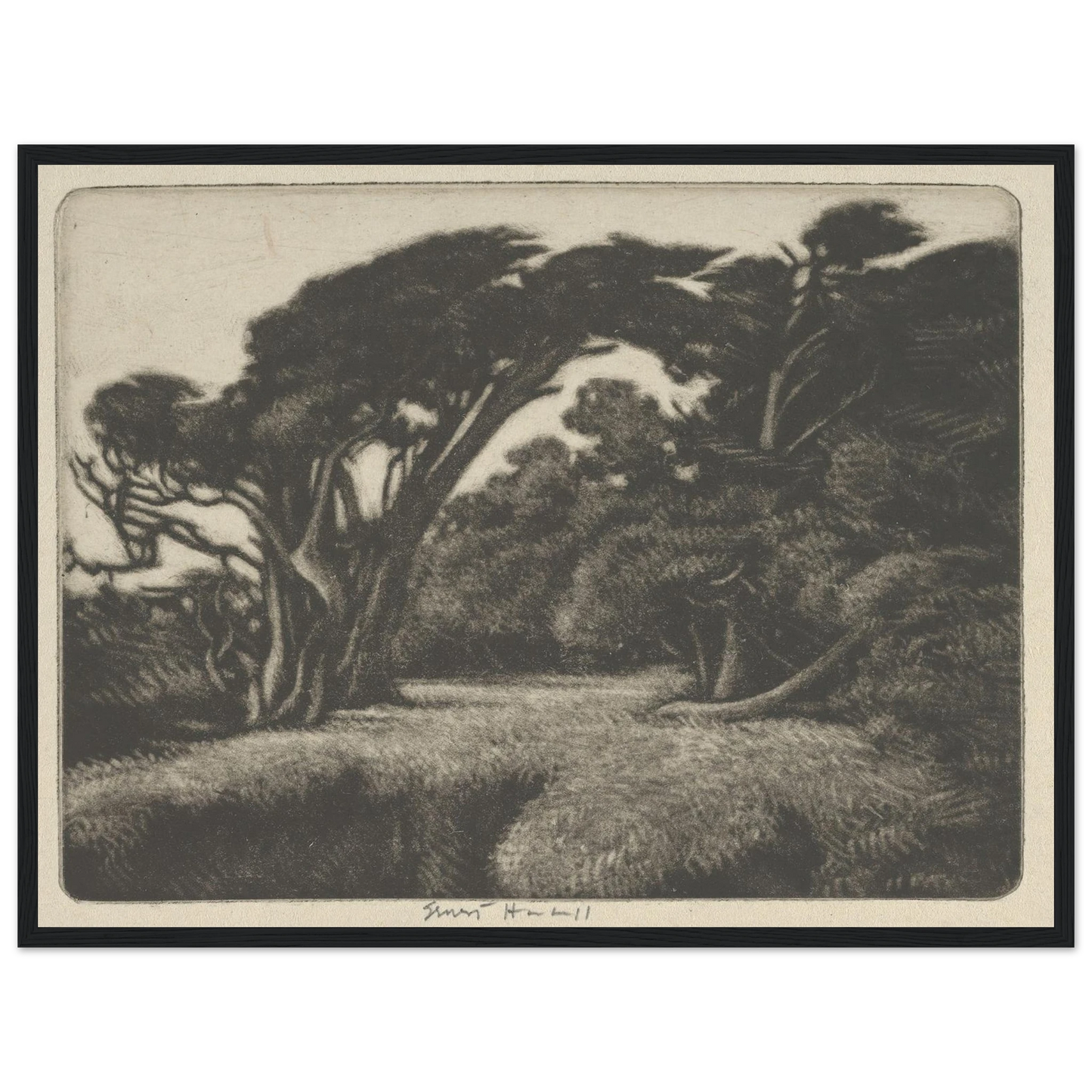 Cypress Bower (1920) Art Print | Ernest Haskell - Framed Poster - 30x40 cm / 12x16″ - Black frame