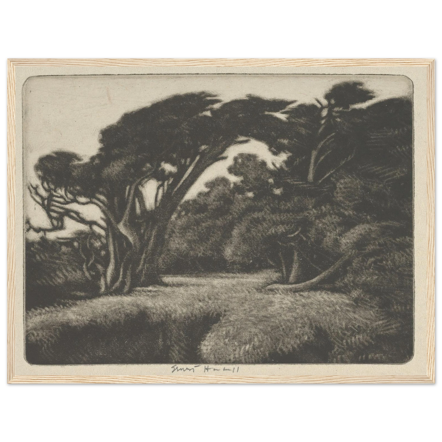 Cypress Bower (1920) Art Print | Ernest Haskell - Framed Poster - 30x40 cm / 12x16″ - Black frame