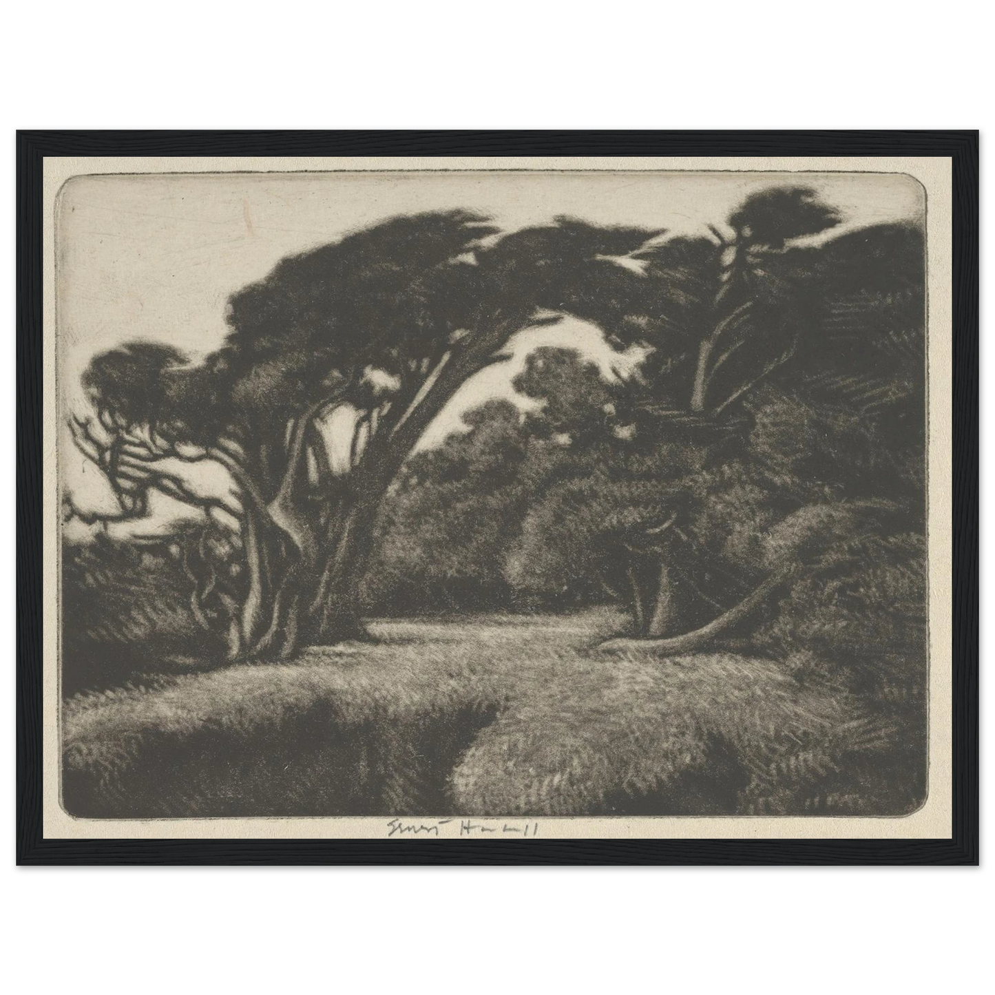 Cypress Bower (1920) Art Print | Ernest Haskell - Framed Poster - 30x40 cm / 12x16″ - Black frame