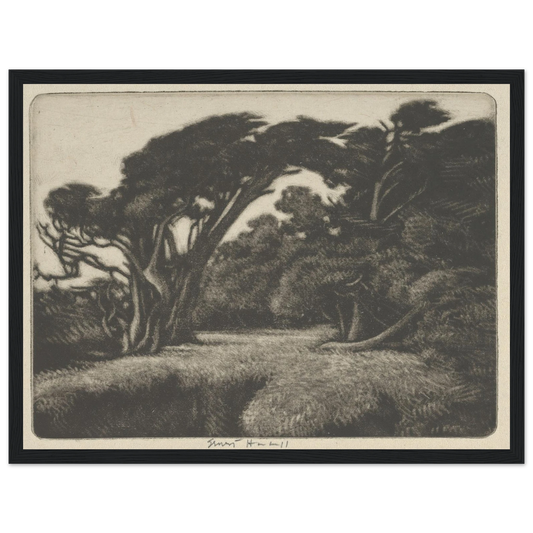 Cypress Bower (1920) Art Print | Ernest Haskell - Framed Poster - 30x40 cm / 12x16″ - Black frame