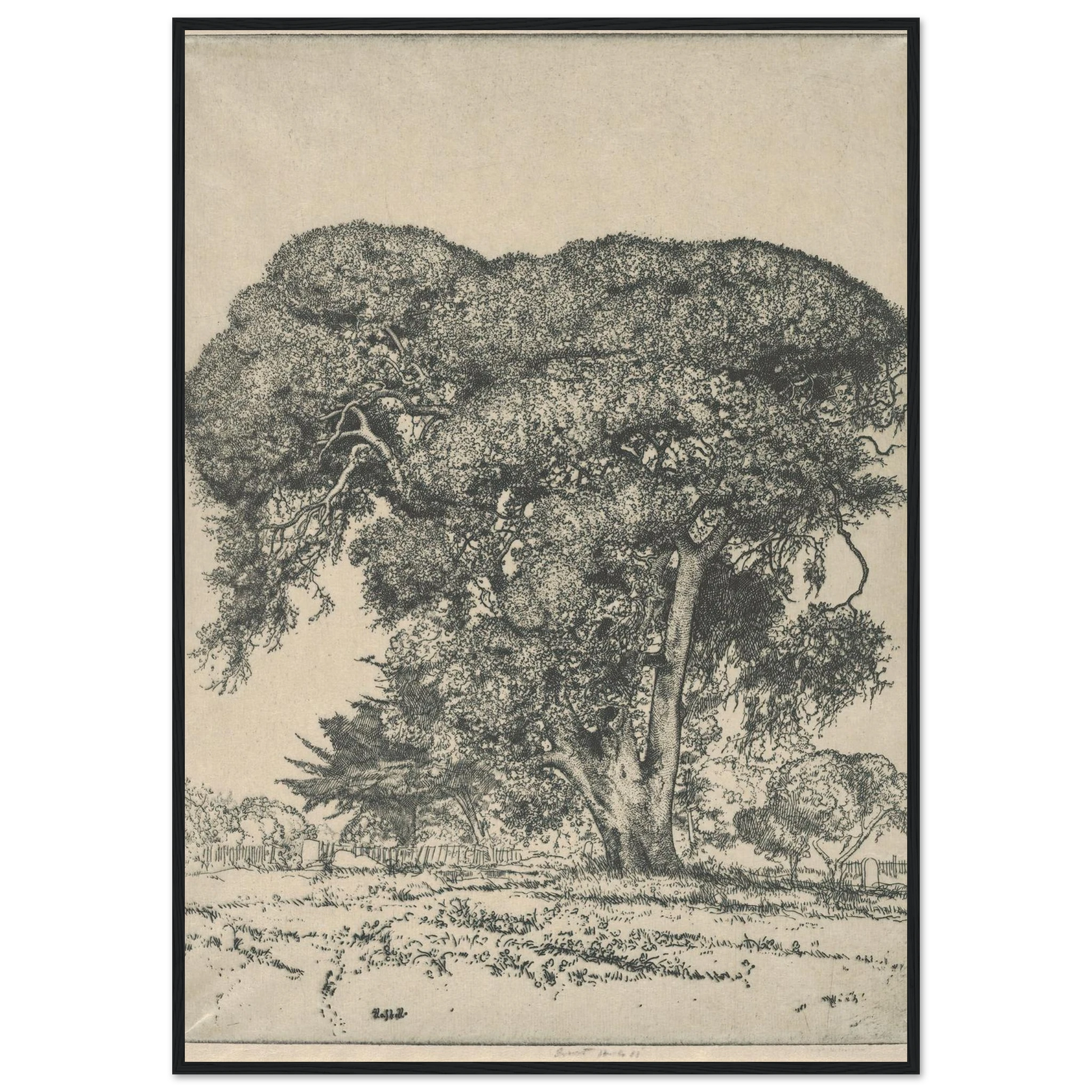 Cemetery Live Oak (1916) Art Print | Ernest Haskell-Quipham Collections