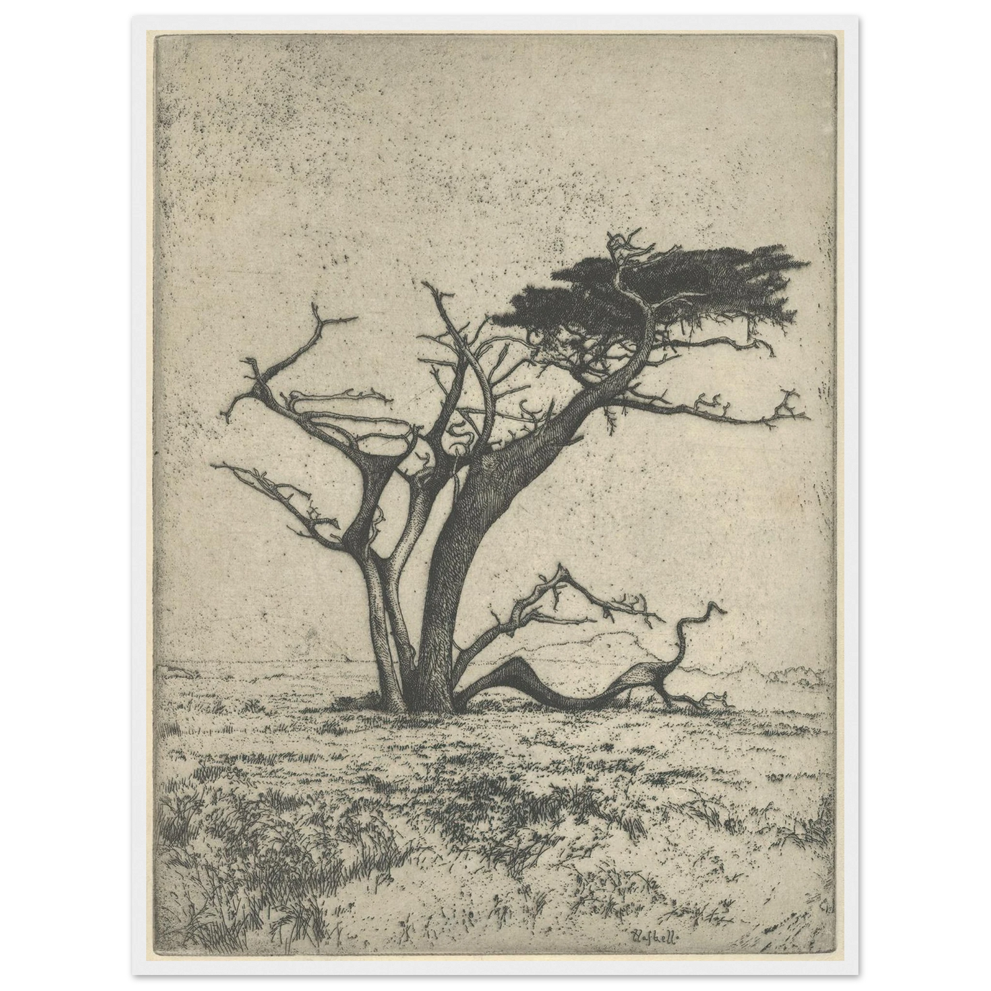 Antlers (1915) Art Print | Ernest Haskell-Quipham Collections