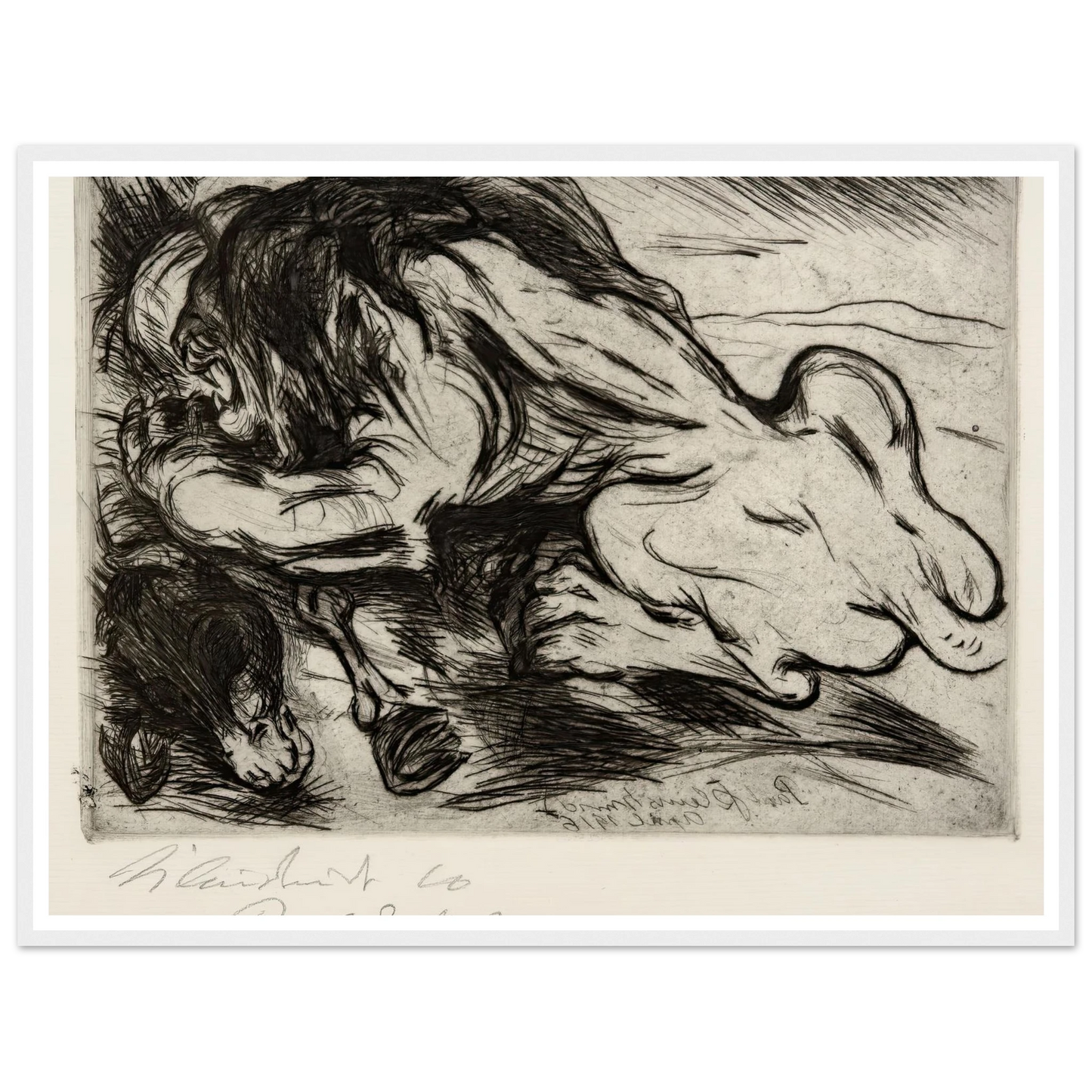 Ein Löwe reißt ein Zebu (1916) Art Print | Paul Kleinschmidt-Quipham Collections