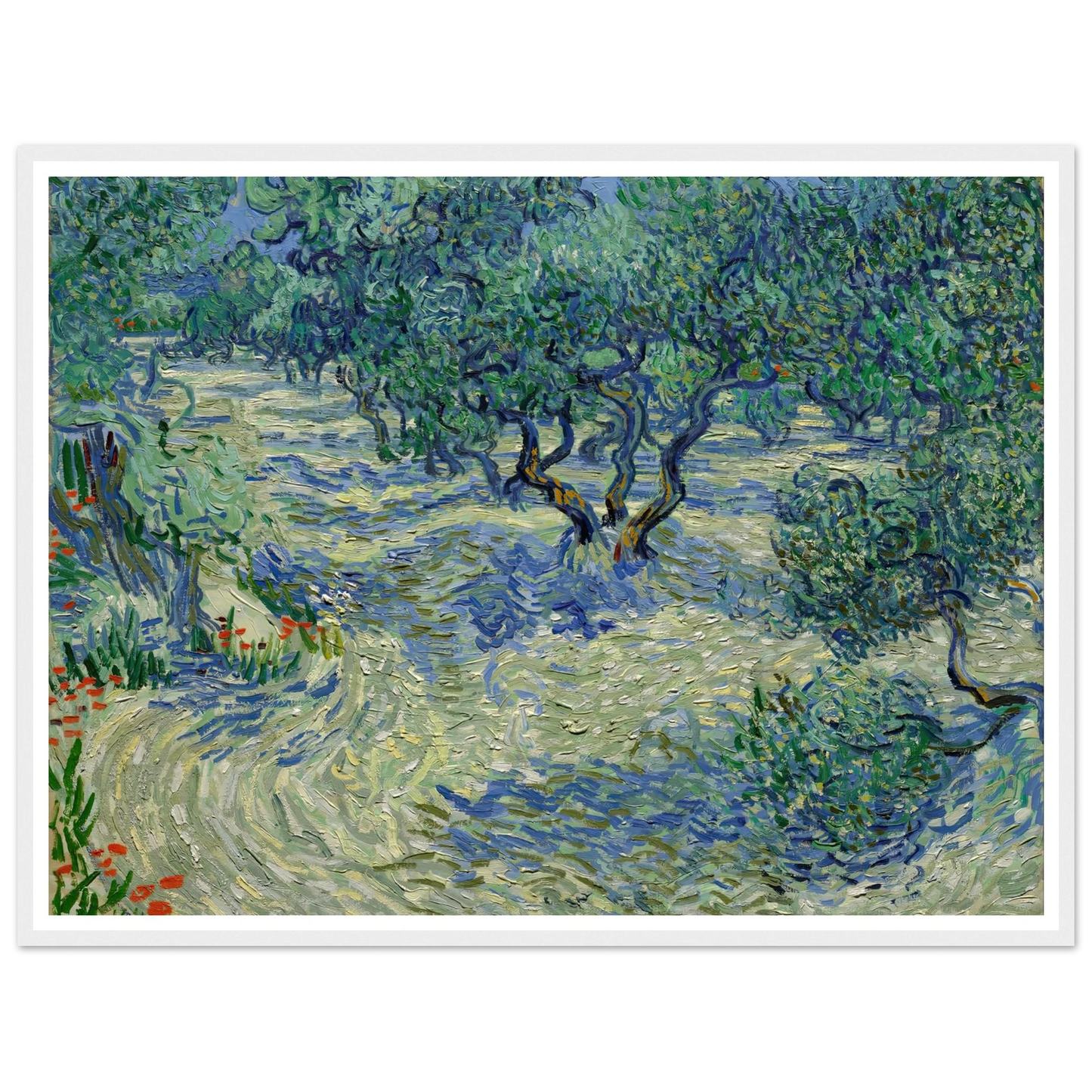 Olive Orchard Art Print | Vincent van Gogh-Quipham Collections