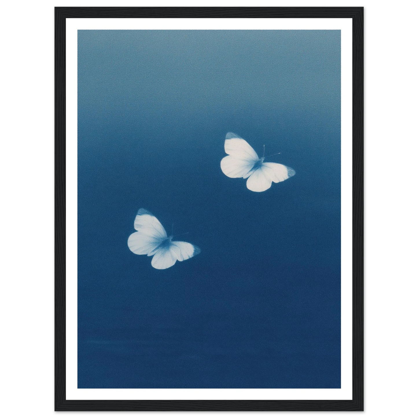 d51d15aa-cc18-4492-9ad9-7ac765d90d10