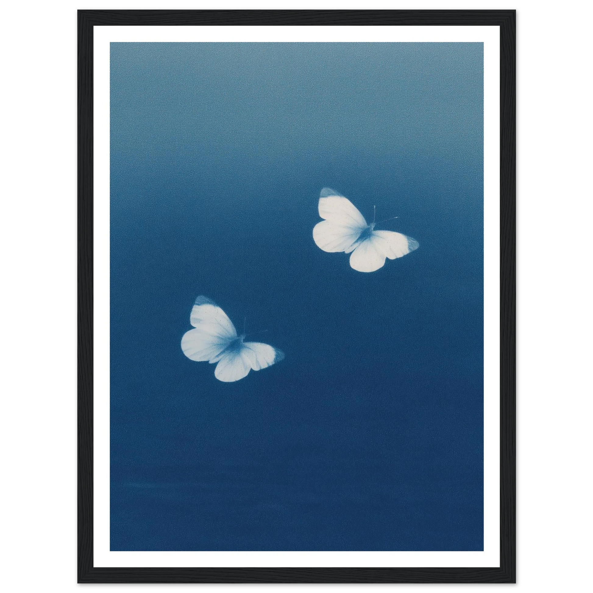 d51d15aa-cc18-4492-9ad9-7ac765d90d10