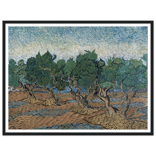 Olive grove Art Print | Vincent van Gogh-Quipham Collections