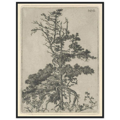 Tree Top (1900-1925) Art Print | Ernest Haskell-Quipham Collections