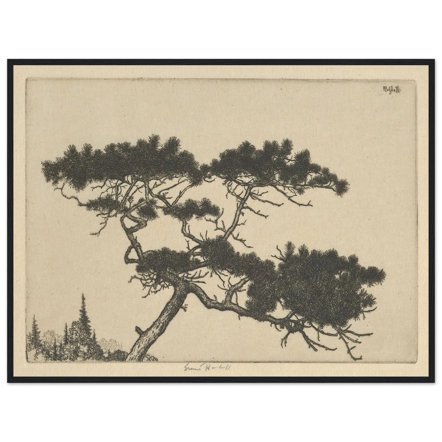 Crippled Pine (between 1900 and 1925) Art Print | Ernest Haskell-Quipham Collections