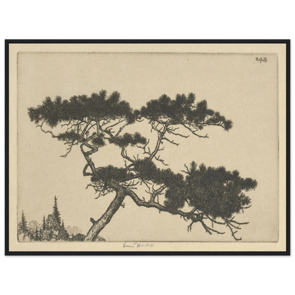 Crippled Pine (between 1900 and 1925) Art Print | Ernest Haskell-Quipham Collections