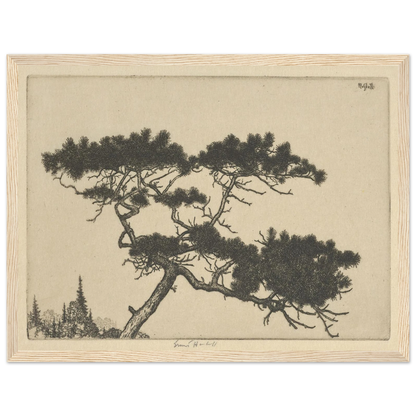 Crippled Pine (between 1900 and 1925) Art Print | Ernest Haskell-Quipham Collections
