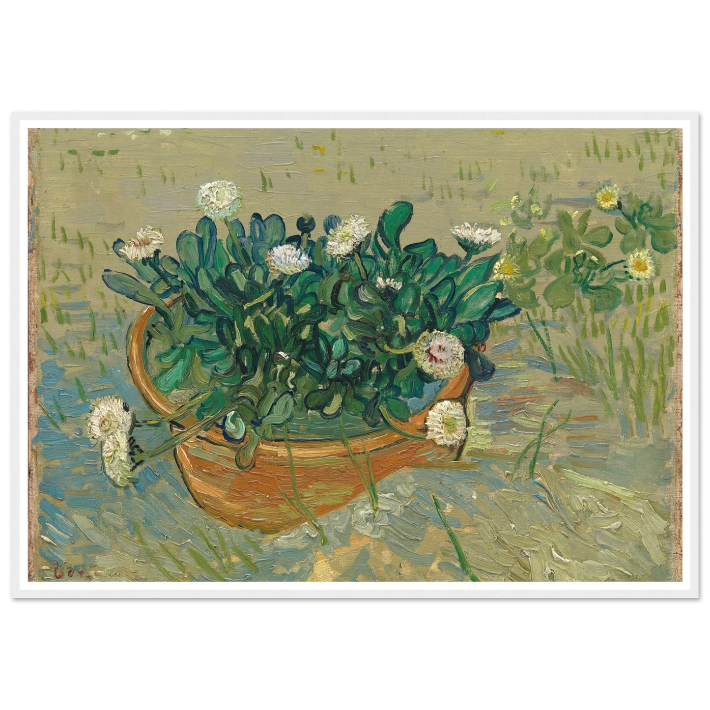 Daisies, Arles (1888) Art Print | Vincent van Gogh - Framed Poster - 30x40 cm / 12x16″ - Black frame