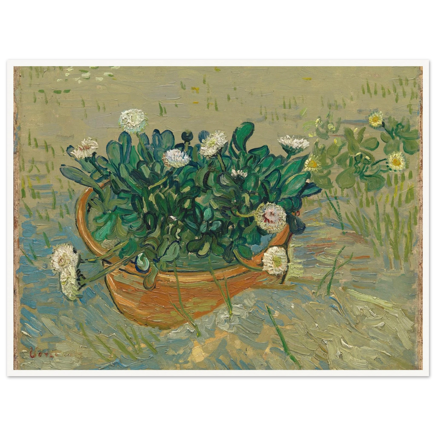 Daisies, Arles (1888) Art Print | Vincent van Gogh - Framed Poster - 30x40 cm / 12x16″ - Black frame