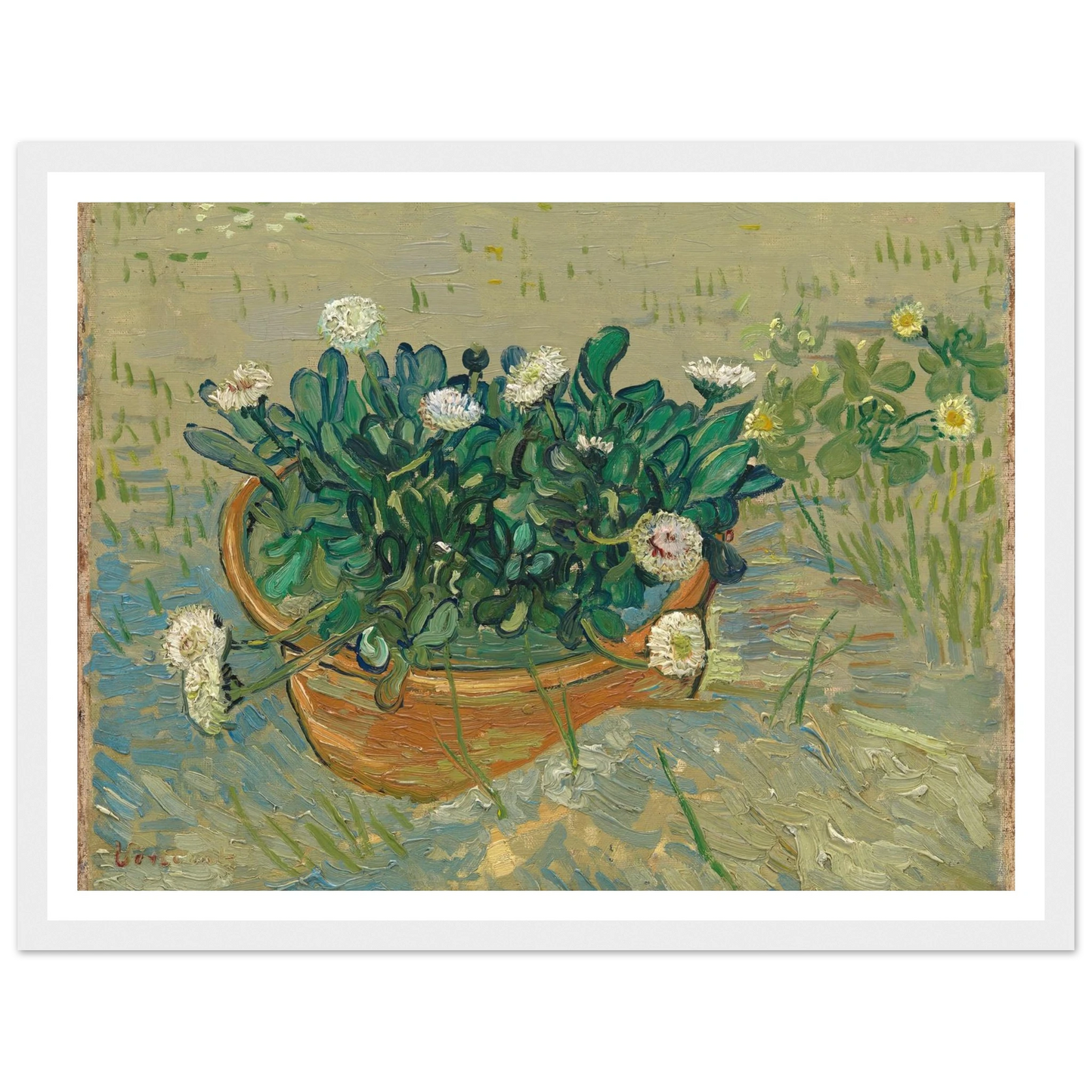 Daisies, Arles (1888) Art Print | Vincent van Gogh - Framed Poster - 30x40 cm / 12x16″ - Black frame