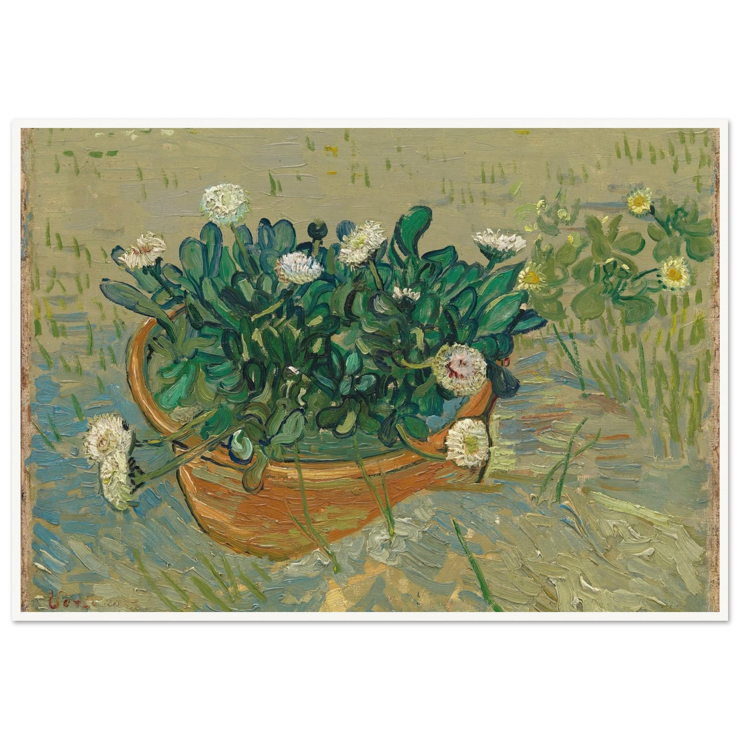 Daisies, Arles (1888) Art Print | Vincent van Gogh - Framed Poster - 30x40 cm / 12x16″ - Black frame