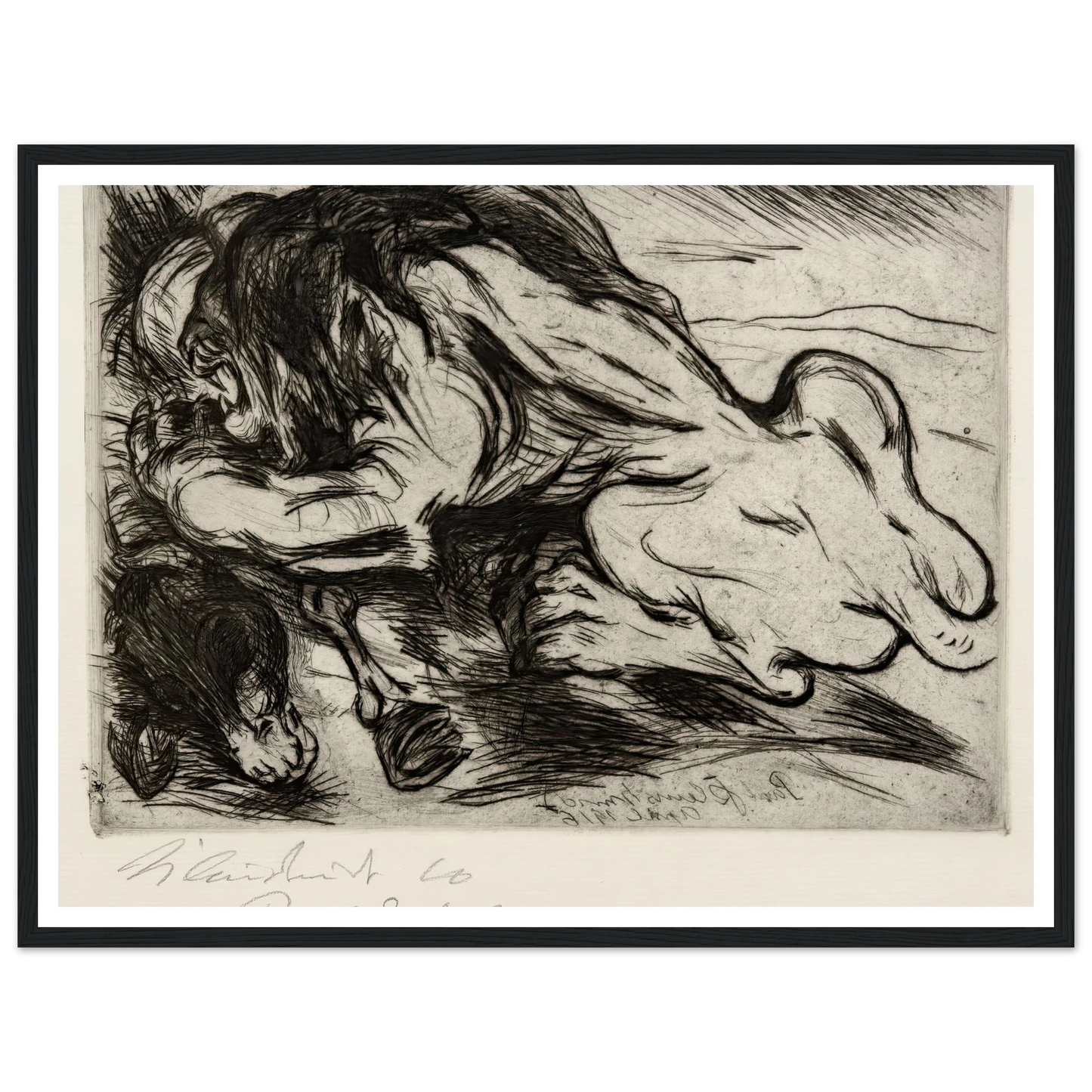 Ein Löwe reißt ein Zebu (1916) Art Print | Paul Kleinschmidt-Quipham Collections