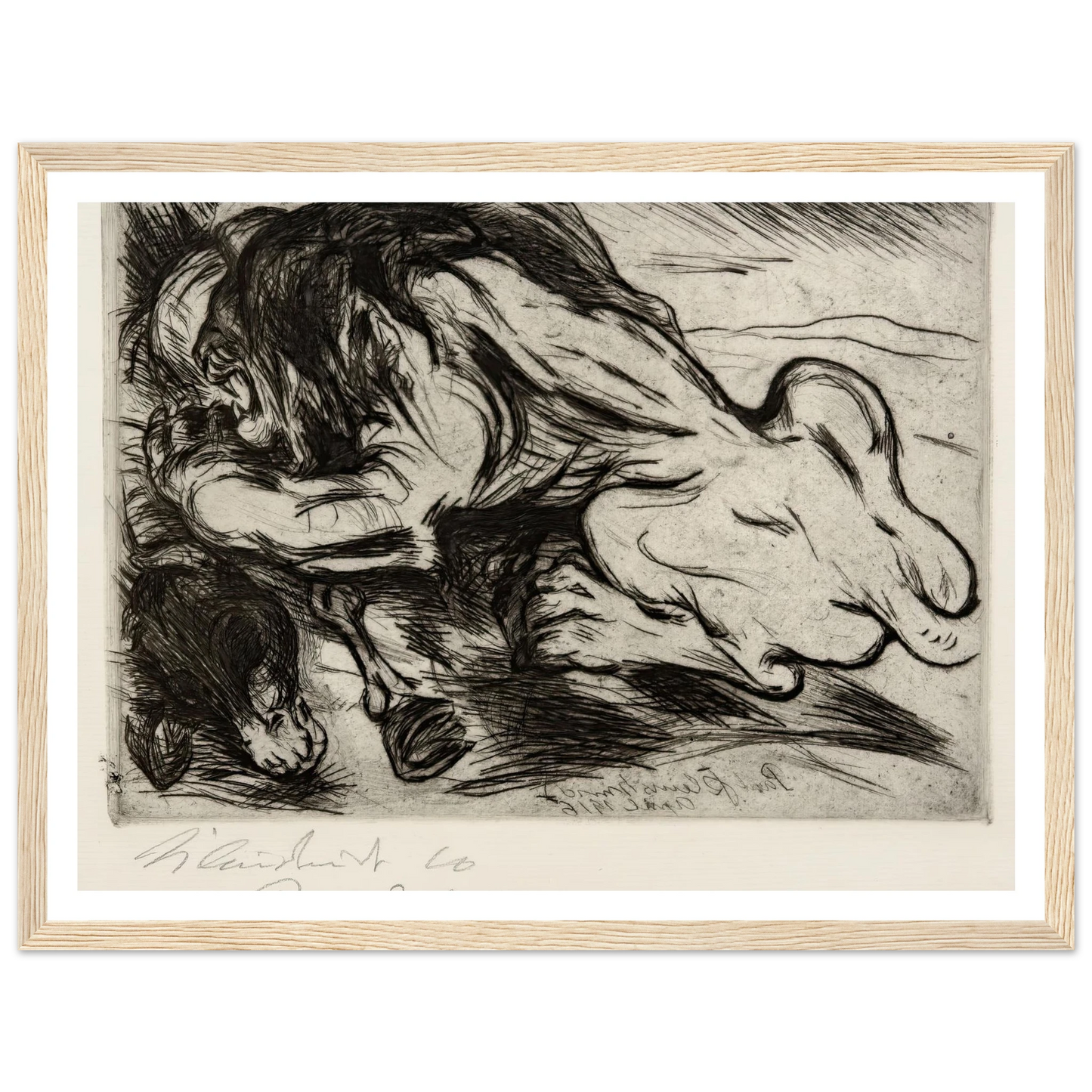 Ein Löwe reißt ein Zebu (1916) Art Print | Paul Kleinschmidt-Quipham Collections
