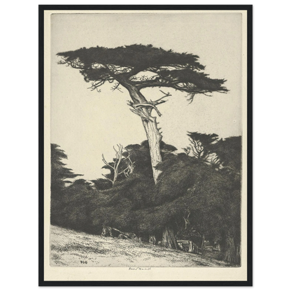 Dryad’s Parasol (1916-1922) Art Print | Ernest Haskell-Quipham Collections
