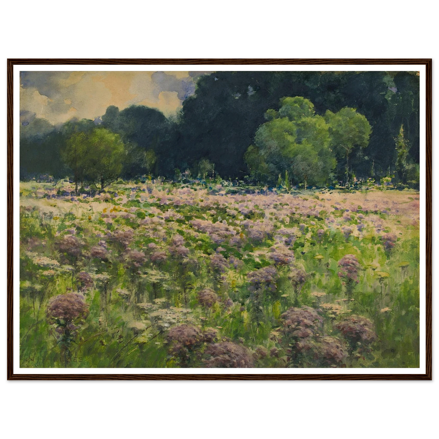 Field Of Joe Pie Weeds (Pride Of The Meadow) Art Print | William Henry Holmes-Quipham Collections