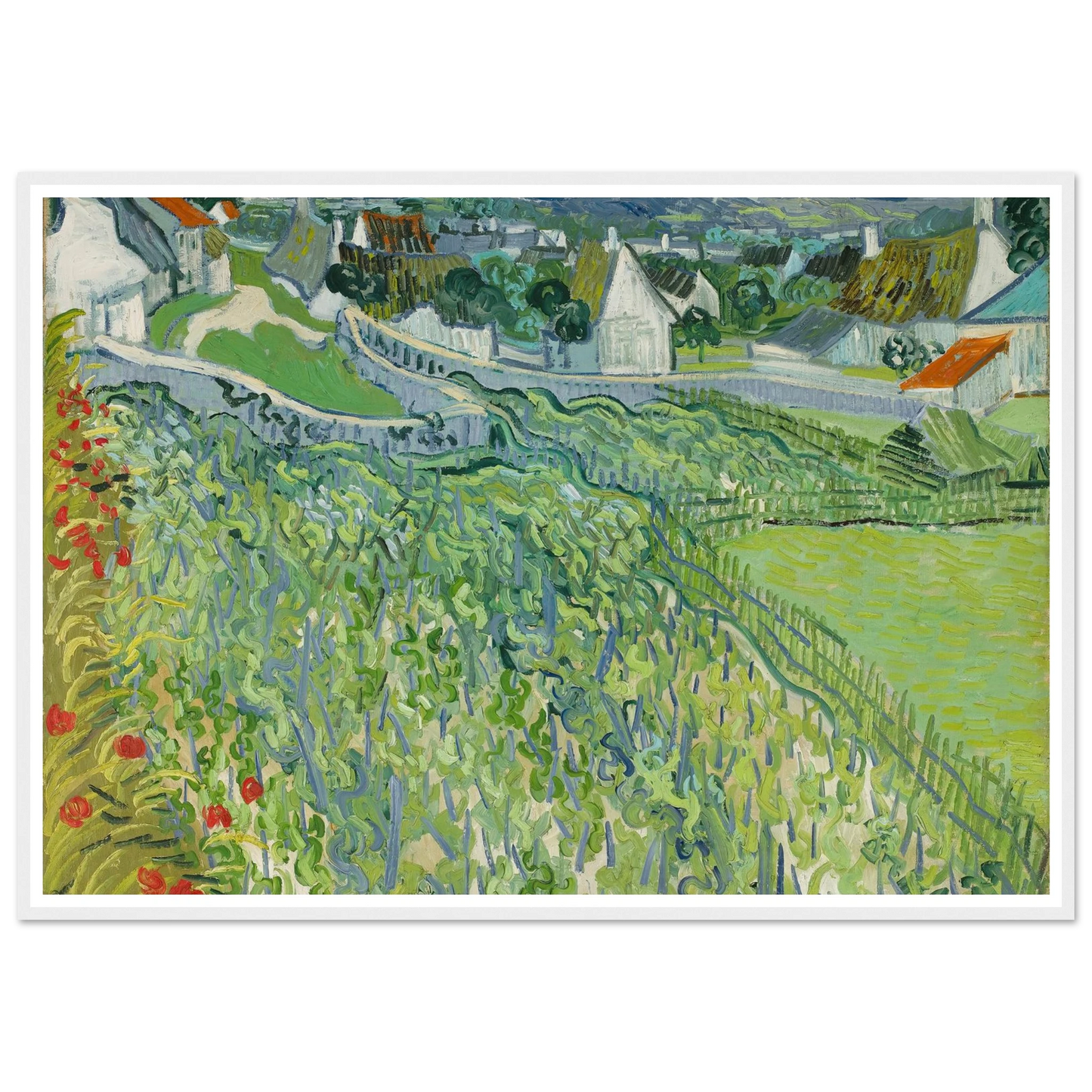 Vineyards at Auvers (1890) Art Print | Vincent van Gogh-Quipham Collections