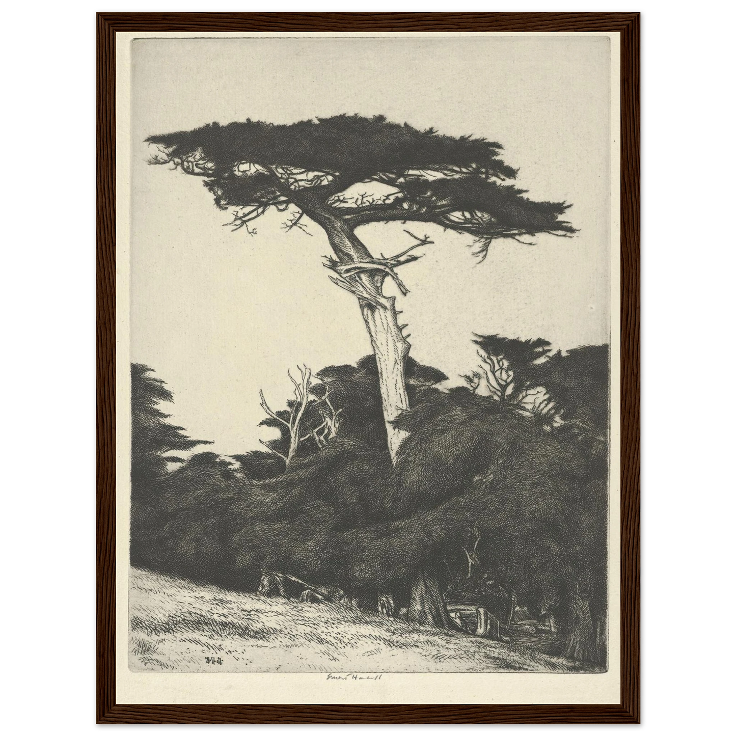 Dryad’s Parasol (1916-1922) Art Print | Ernest Haskell - Framed Poster - 30x40 cm / 12x16″ - Black frame