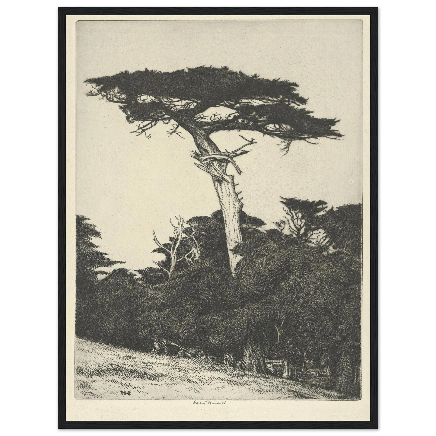 Dryad’s Parasol (1916-1922) Art Print | Ernest Haskell - Framed Poster - 30x40 cm / 12x16″ - Black frame