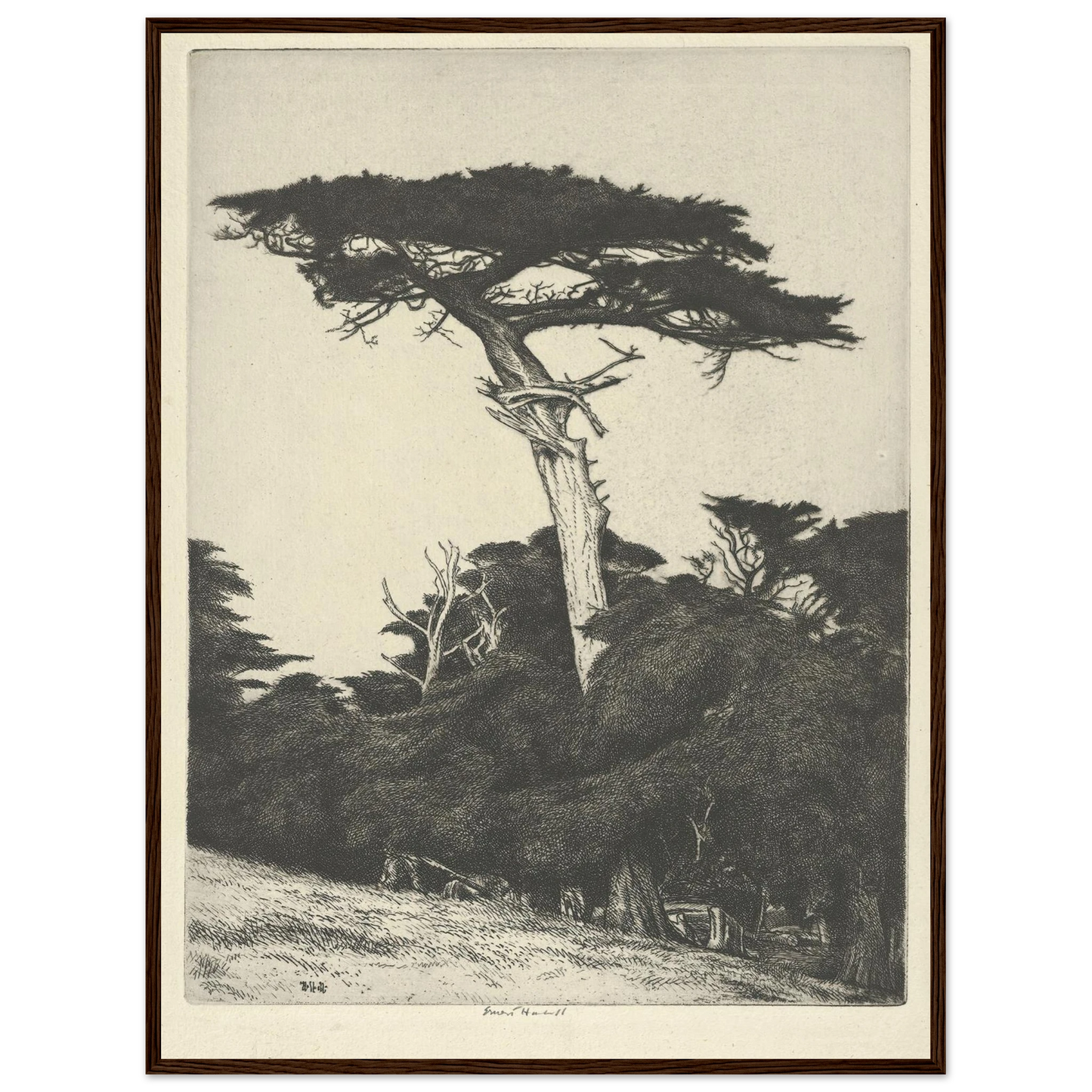 Dryad’s Parasol (1916-1922) Art Print | Ernest Haskell - Framed Poster - 30x40 cm / 12x16″ - Black frame
