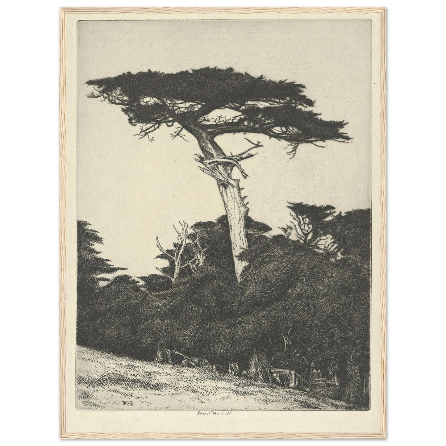 Dryad’s Parasol (1916-1922) Art Print | Ernest Haskell - Framed Poster - 30x40 cm / 12x16″ - Black frame