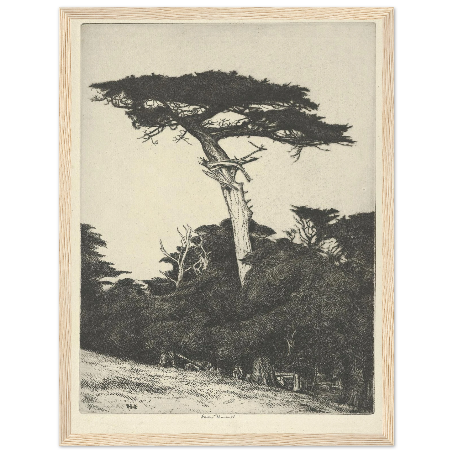 Dryad’s Parasol (1916-1922) Art Print | Ernest Haskell - Framed Poster - 30x40 cm / 12x16″ - Black frame