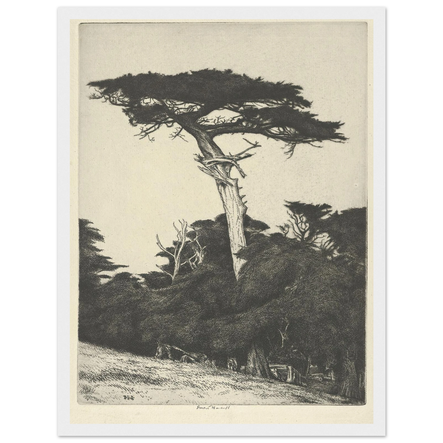 Dryad’s Parasol (1916-1922) Art Print | Ernest Haskell - Framed Poster - 30x40 cm / 12x16″ - Black frame