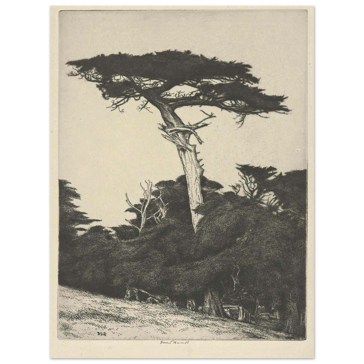 Dryad’s Parasol (1916-1922) Art Print | Ernest Haskell - Framed Poster - 30x40 cm / 12x16″ - Black frame