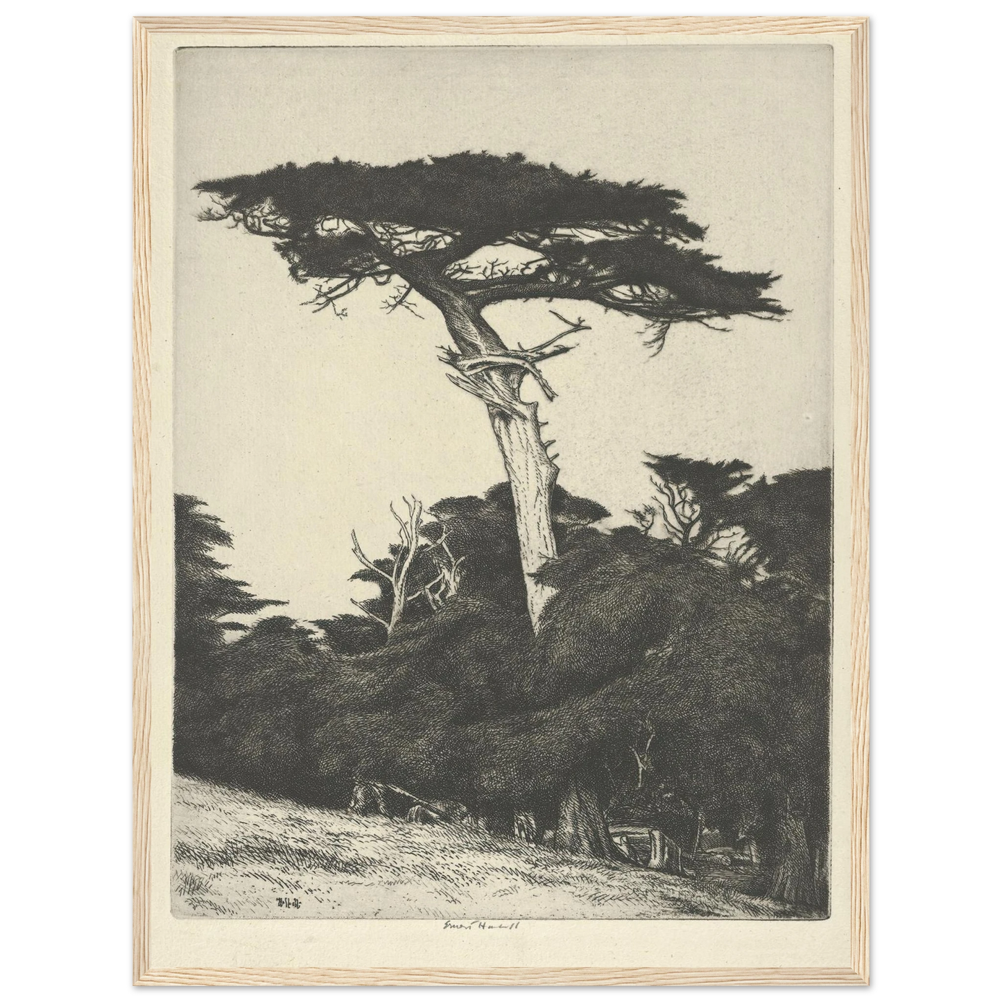 Dryad’s Parasol (1916-1922) Art Print | Ernest Haskell - Framed Poster - 30x40 cm / 12x16″ - Black frame