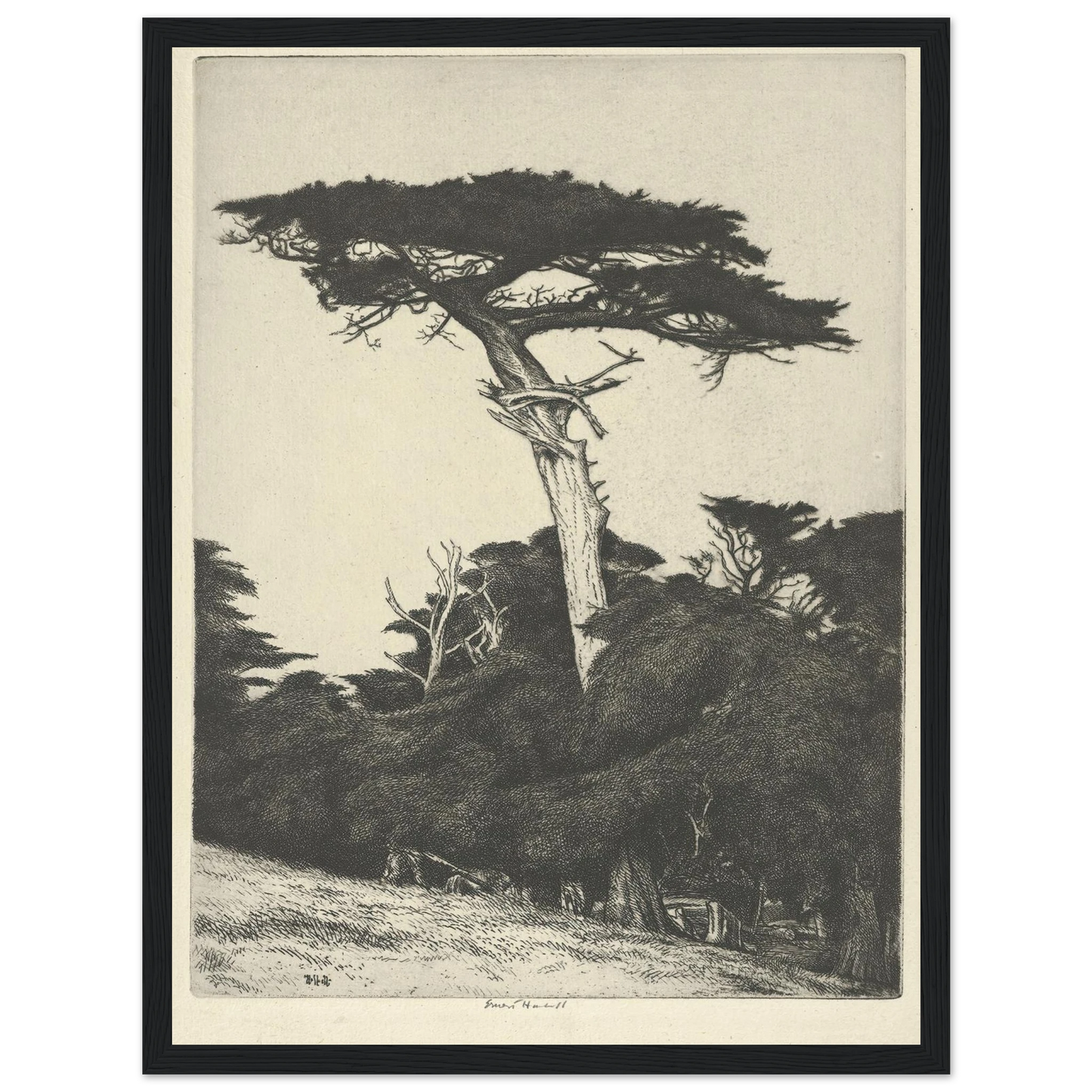 Dryad’s Parasol (1916-1922) Art Print | Ernest Haskell - Framed Poster - 30x40 cm / 12x16″ - Black frame