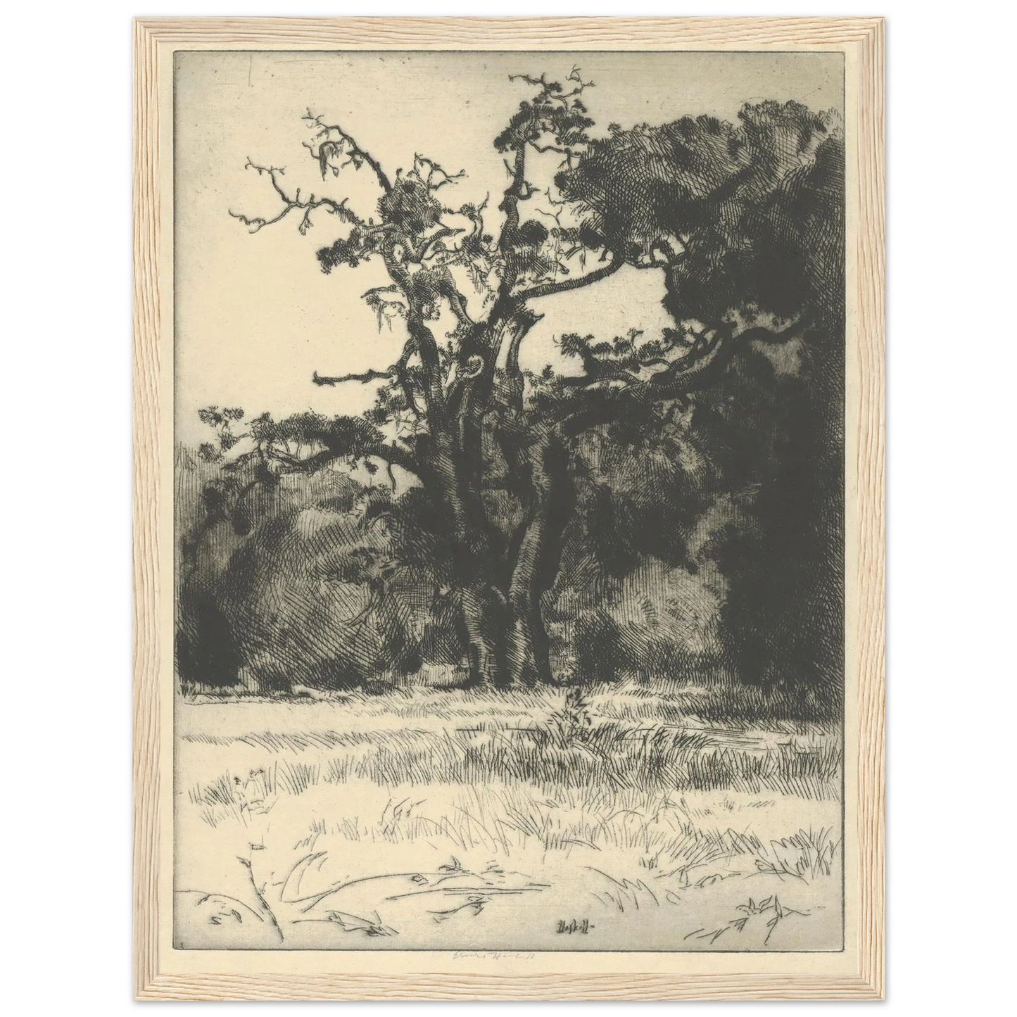 Dying White Oak (1900-1925) Art Print | Ernest Haskell - Framed Poster - 30x40 cm / 12x16″ - Black frame