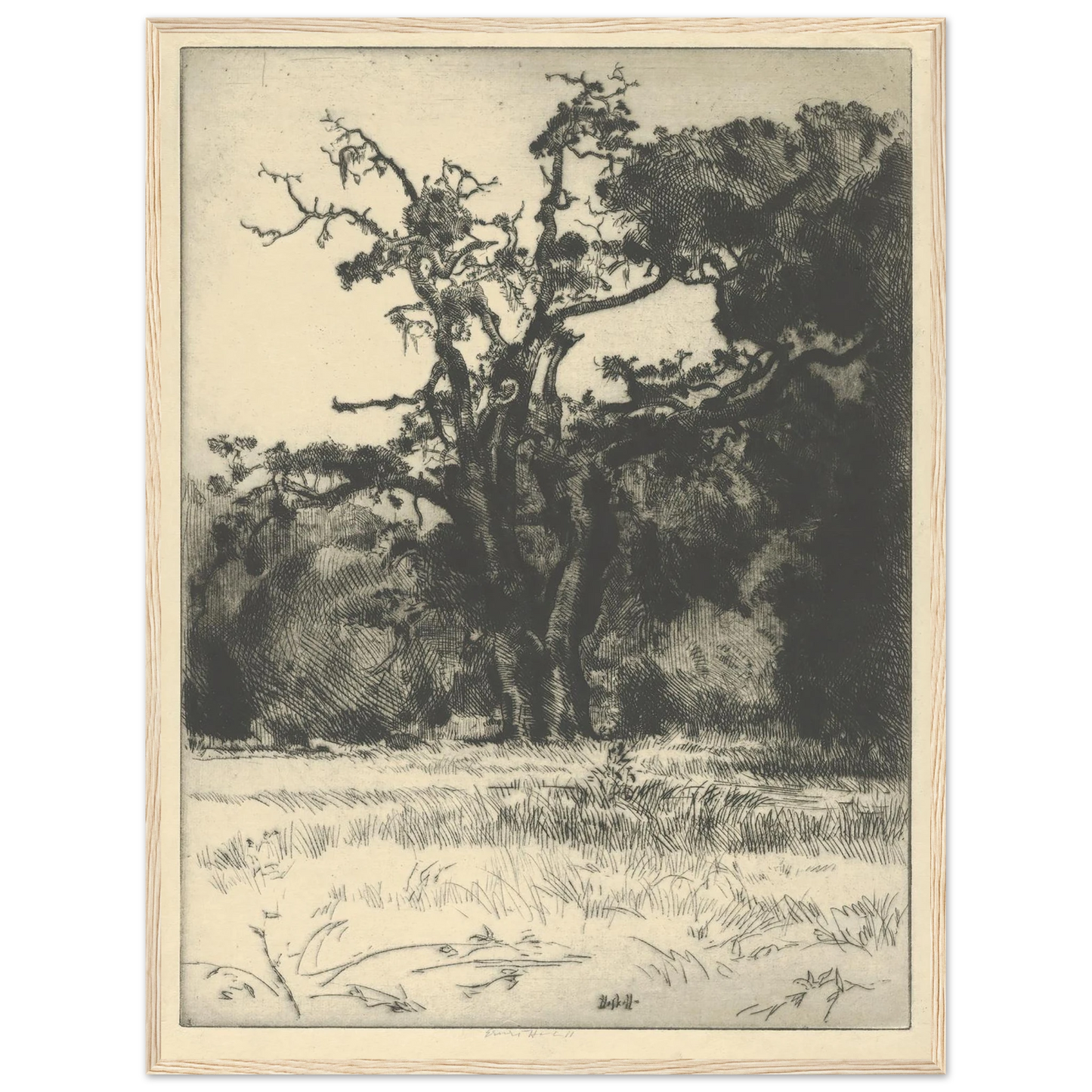 Dying White Oak (1900-1925) Art Print | Ernest Haskell - Framed Poster - 30x40 cm / 12x16″ - Black frame