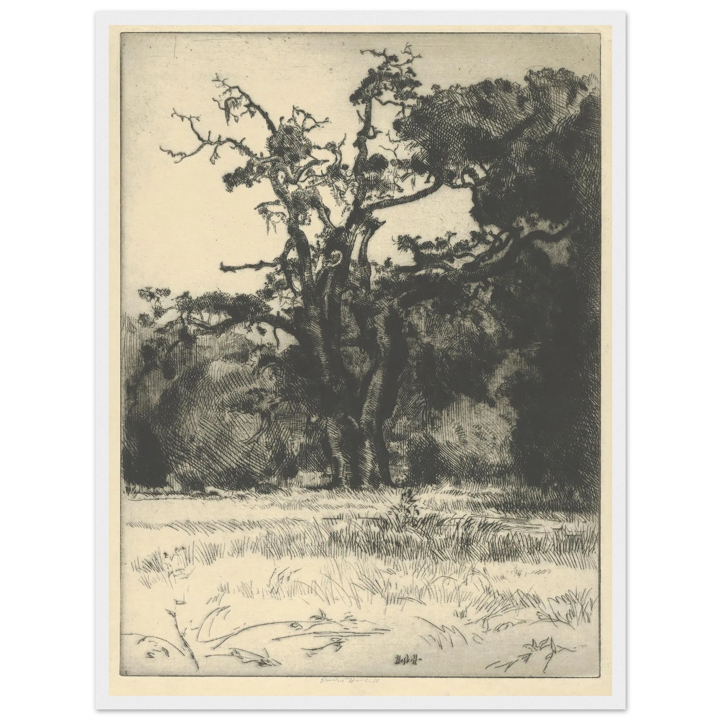 Dying White Oak (1900-1925) Art Print | Ernest Haskell - Framed Poster - 30x40 cm / 12x16″ - Black frame