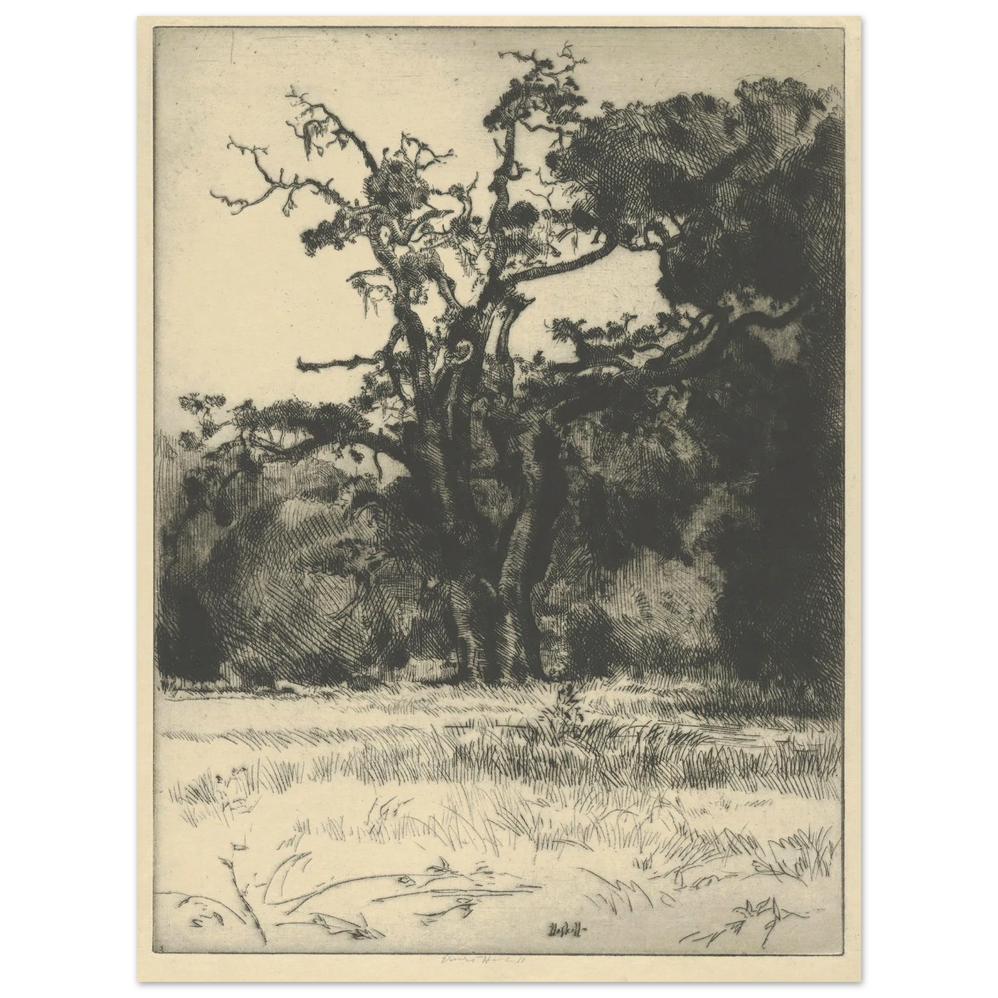 Dying White Oak (1900-1925) Art Print | Ernest Haskell - Framed Poster - 30x40 cm / 12x16″ - Black frame