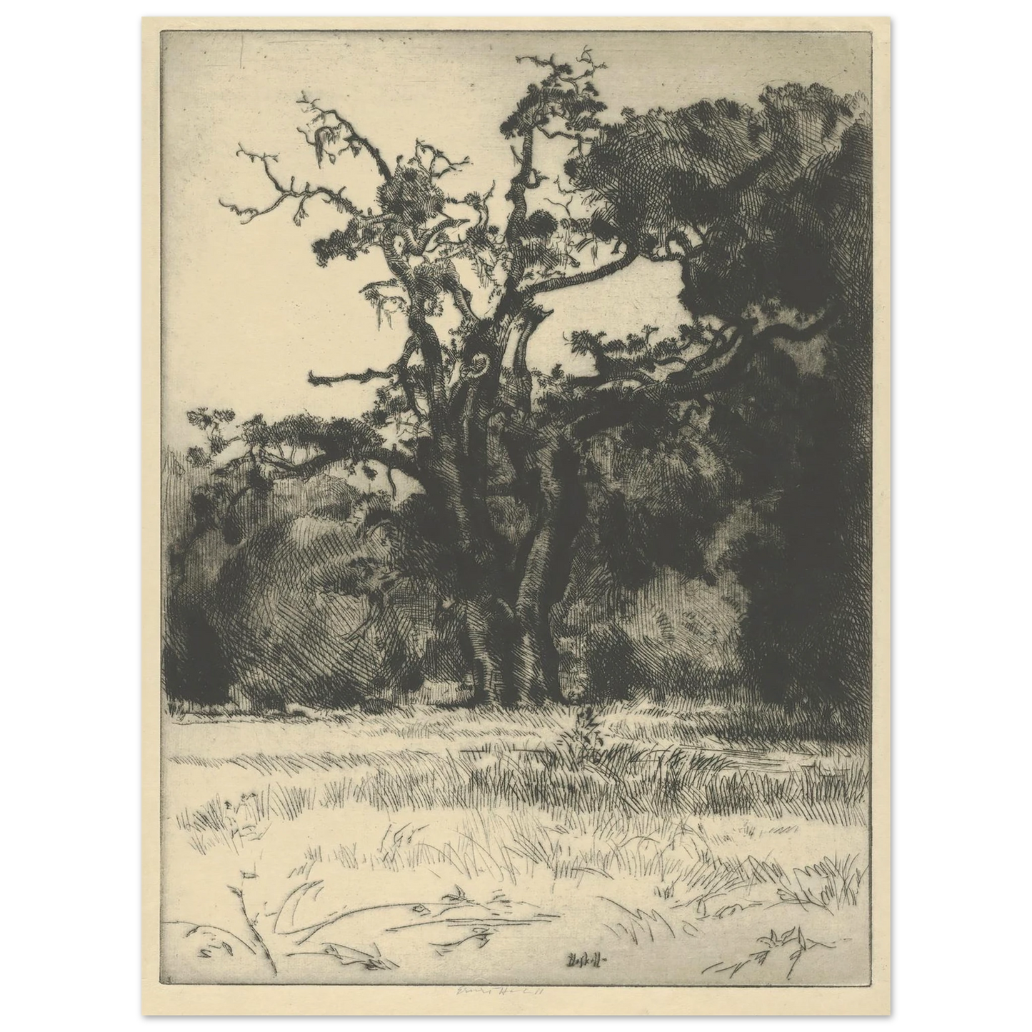 Dying White Oak (1900-1925) Art Print | Ernest Haskell - Framed Poster - 30x40 cm / 12x16″ - Black frame