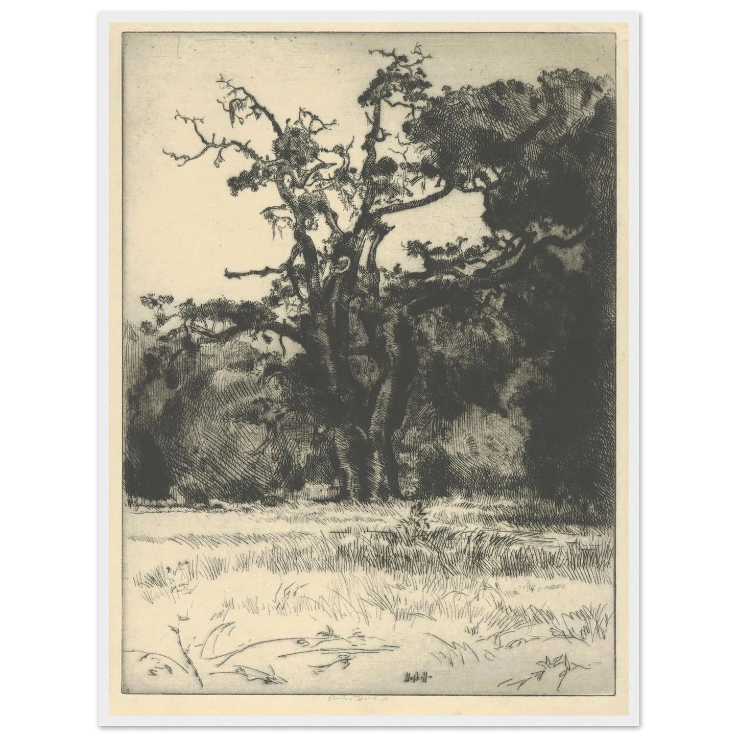 Dying White Oak (1900-1925) Art Print | Ernest Haskell - Framed Poster - 30x40 cm / 12x16″ - Black frame