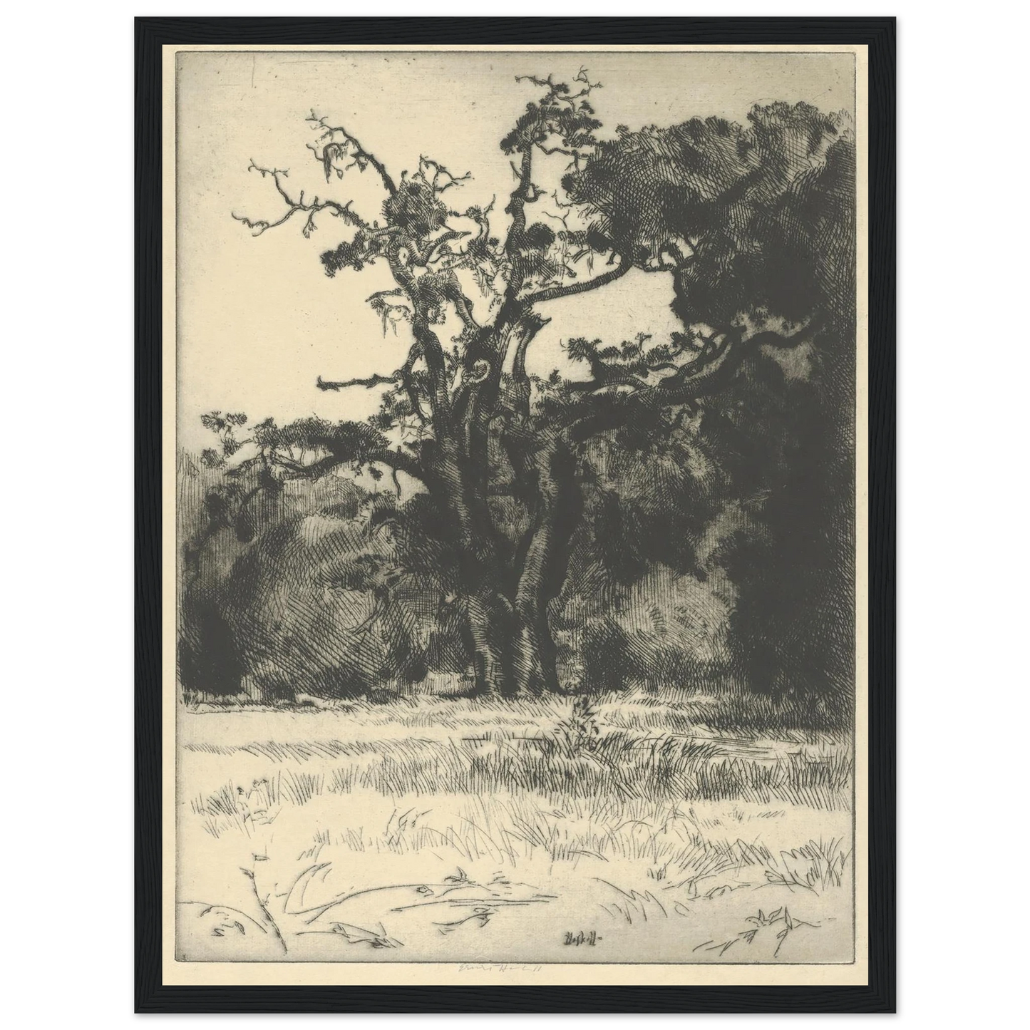 Dying White Oak (1900-1925) Art Print | Ernest Haskell - Framed Poster - 30x40 cm / 12x16″ - Black frame