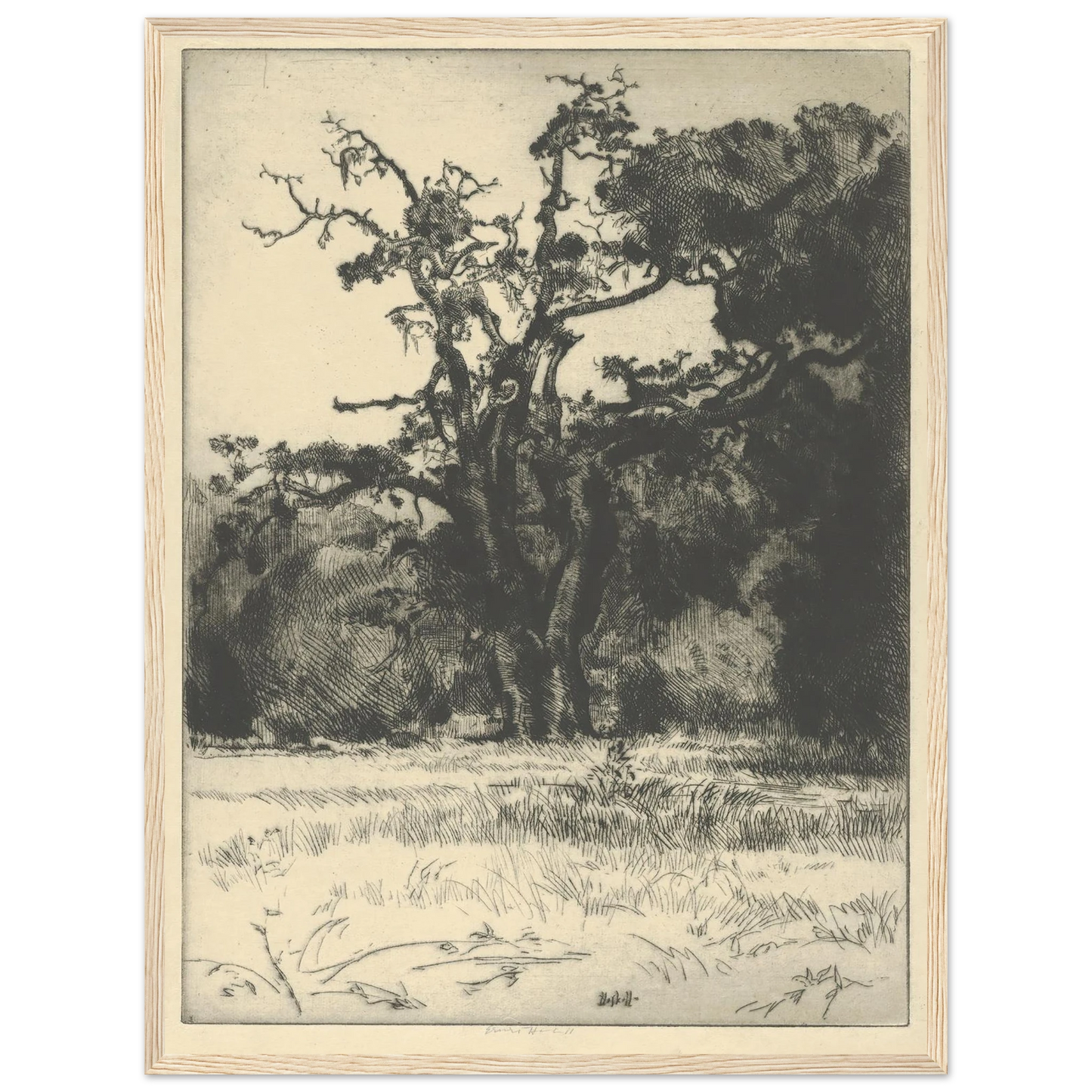 Dying White Oak (1900-1925) Art Print | Ernest Haskell - Framed Poster - 30x40 cm / 12x16″ - Black frame