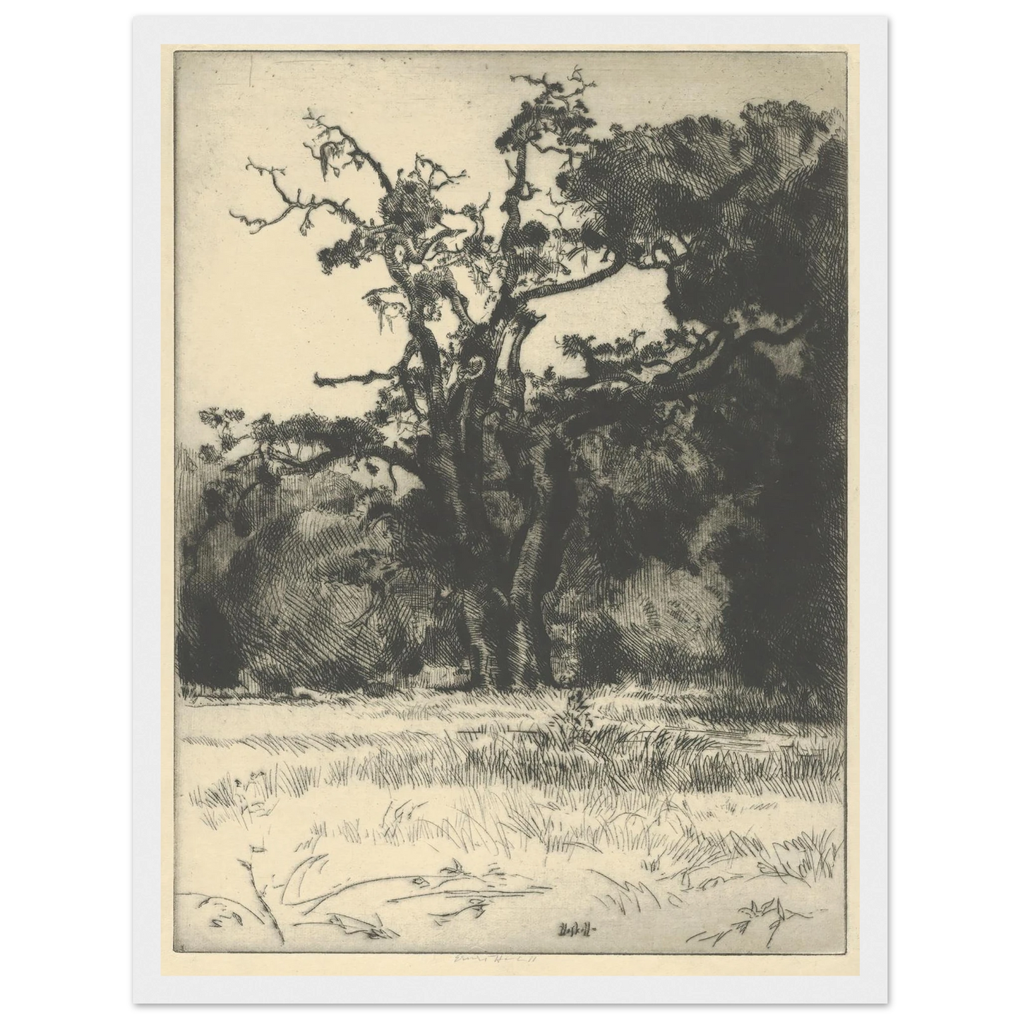 Dying White Oak (1900-1925) Art Print | Ernest Haskell - Framed Poster - 30x40 cm / 12x16″ - Black frame