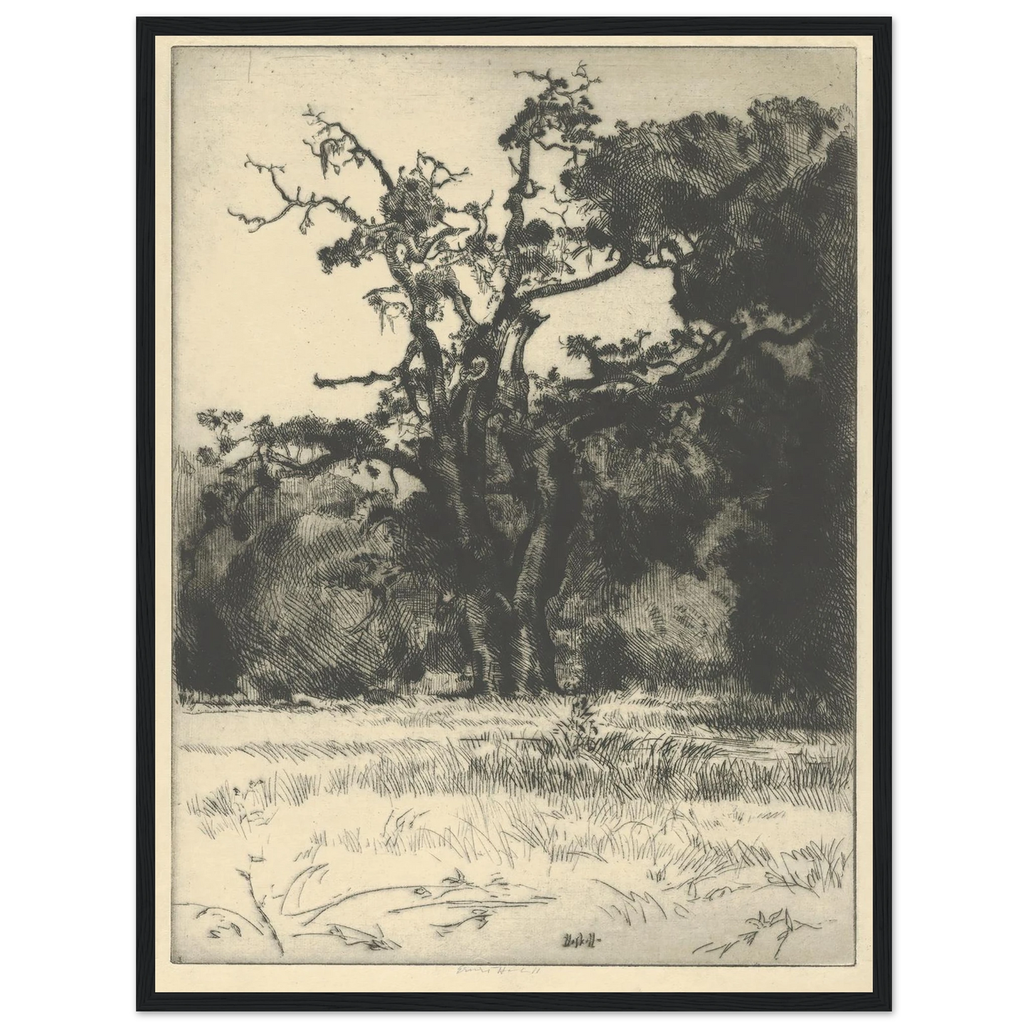 Dying White Oak (1900-1925) Art Print | Ernest Haskell - Framed Poster - 30x40 cm / 12x16″ - Black frame