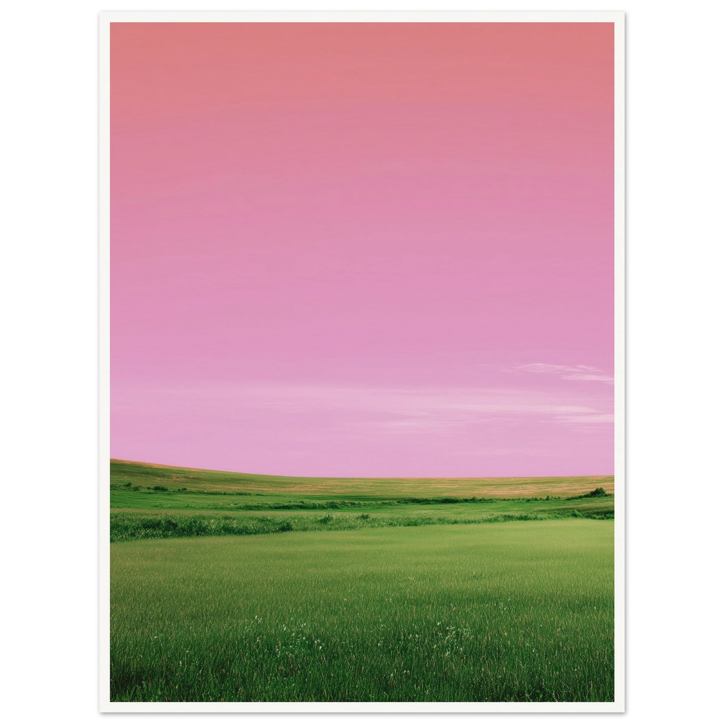 e01d54df-7722-408a-a668-3139a7dbe398