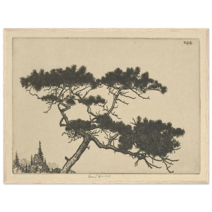 Crippled Pine (between 1900 and 1925) Art Print | Ernest Haskell-Quipham Collections